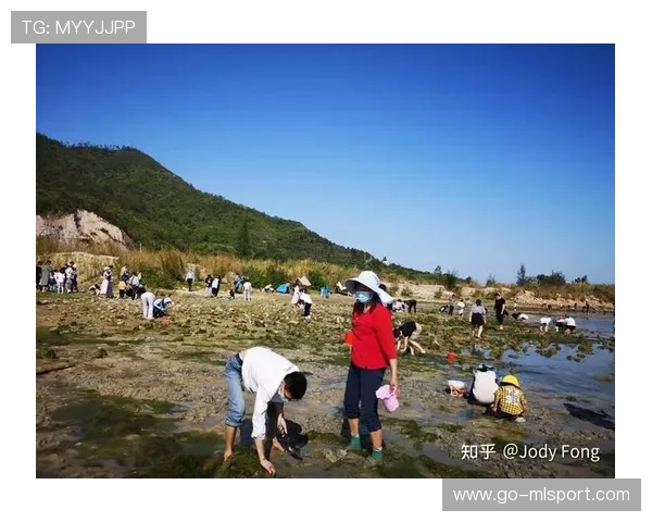 惠州赶海故事：台风带来的海鲜大礼，惠州赶海好去处
