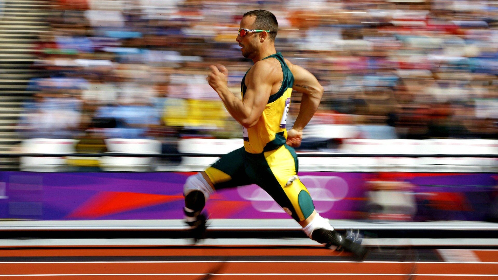 体育新闻中心权威解读专题,体育新闻!